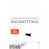 Nachmittage, Schirach, Ferdinand von, Luchterhand Literaturverlag, EAN/ISBN-13: 9783630877235