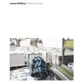James Welling, Prestel Verlag, EAN/ISBN-13: 9783791356037