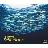 Kal. 2024 Fischschwärme, DUMONT Kalenderverlag Gmbh & Co. KG, EAN/ISBN-13: 4250809652153