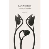 Karl Blossfeldt - Meisterwerke, Küster, Hansjörg/Blossfeldt, Karl, Schirmer/Mosel Verlag GmbH, EAN/ISBN-13: 9783829607254