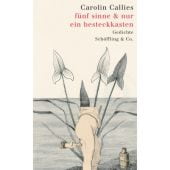 fünf sinne & nur ein besteckkasten, Callies, Carolin, Schöffling & Co. Verlagsbuchhandlung, EAN/ISBN-13: 9783895614484