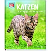 Katzen, Aurahs, Jutta, Tessloff Medien Vertrieb GmbH & Co. KG, EAN/ISBN-13: 9783788620592