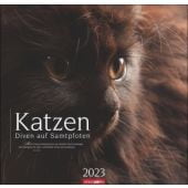 Katzen - Diven auf Samtpfoten 2023, Weingarten, EAN/ISBN-13: 9783840083624