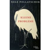 Kleine Probleme, Pollatschek, Nele, Galiani Berlin, EAN/ISBN-13: 9783869712406