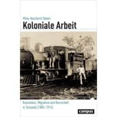 Koloniale Arbeit, Haschemi Yekani, Minu, Campus Verlag, EAN/ISBN-13: 9783593506234