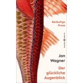 Der glückliche Augenblick, Wagner, Jan, Carl Hanser Verlag GmbH & Co.KG, EAN/ISBN-13: 9783446269439