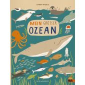 Mein großer Ozean, Wiehle, Katrin, Beltz, Julius Verlag, EAN/ISBN-13: 9783407812209