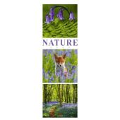 Nature 2023, Ackermann Kunstverlag, EAN/ISBN-13: 9783838423562