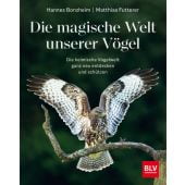 Die magische Welt unserer Vögel, Bonzheim, Hannes/Futterer, Matthias, BLV Buchverlag GmbH & Co. KG, EAN/ISBN-13: 9783967470796