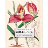 Orchideen, EAN/ISBN-13: 9783258081205