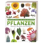 Pflanzen, Jose, Sarah (Dr.), Dorling Kindersley Verlag GmbH, EAN/ISBN-13: 9783831039265