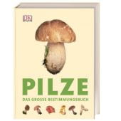 Pilze, Læssøe, Thomas, Dorling Kindersley Verlag GmbH, EAN/ISBN-13: 9783831036134
