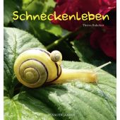 Schneckenleben, Buholzer, Theres, Fischer Sauerländer, EAN/ISBN-13: 9783737356398