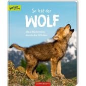 So lebt der Wolf, Noa, Sandra, Coppenrath Verlag GmbH & Co. KG, EAN/ISBN-13: 9783649634522