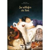 So schlafen die Tiere, Harel, Maike, Chicken House, EAN/ISBN-13: 9783551521279