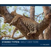 Starke Typen 2023, Palazzi Kalender GmbH, EAN/ISBN-13: 4251734300454