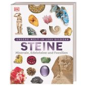 Steine, Green, Dan, Dorling Kindersley Verlag GmbH, EAN/ISBN-13: 9783831032136
