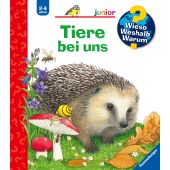 Tiere bei uns, Mennen, Patricia, Ravensburger Verlag GmbH, EAN/ISBN-13: 9783473600052