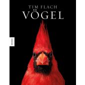 Vögel, Flach, Tim, Knesebeck Verlag, EAN/ISBN-13: 9783957285294