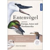 Entenvögel, Reeber, Sebastian, Franckh-Kosmos Verlags GmbH & Co. KG, EAN/ISBN-13: 9783440146781