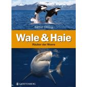 Wale & Haie, Oftring, Bärbel, Gerstenberg Verlag GmbH & Co.KG, EAN/ISBN-13: 9783836955881