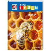 WAS IST WAS Erstes Lesen Band 5. Bienen, Braun, Christina, Tessloff Medien Vertrieb GmbH & Co. KG, EAN/ISBN-13: 9783788626433