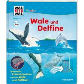 WAS IST WAS Junior Band 26. Wale und Delfine, Oftring, Bärbel, EAN/ISBN-13: 9783788622237