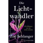 Die Lichtwandler, Schlanger, Zoë, Fischer, S. Verlag GmbH, EAN/ISBN-13: 9783103976601