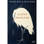 Kleine Probleme, Pollatschek, Nele, Verlag Kiepenheuer & Witsch GmbH & Co KG, EAN/ISBN-13: 9783462008104