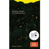 Die Holländerinnen, Elmiger, Dorothee, Carl Hanser Verlag GmbH & Co.KG, EAN/ISBN-13: 9783446282988