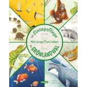 Von Eintagsfliege bis Grönlandwal, Murray, Lily, Carlsen Verlag GmbH, EAN/ISBN-13: 9783551255051