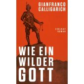 Wie ein wilder Gott, Calligarich, Gianfranco, Zsolnay Verlag Wien, EAN/ISBN-13: 9783552075108
