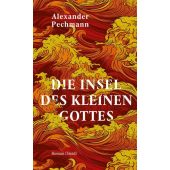 Die Insel des kleinen Gottes, Pechmann, Alexander, Steidl Verlag, EAN/ISBN-13: 9783969994047