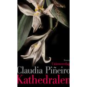 Kathedralen, Piñeiro, Claudia, Unionsverlag, EAN/ISBN-13: 9783293005921