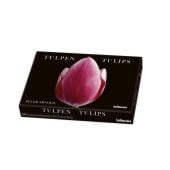 Tulpen, Kunstkartenbox, Arnold, Peter, teNeues Media GmbH & Co. KG, EAN/ISBN-13: 4260416451247