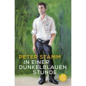 In einer dunkelblauen Stunde, Stamm, Peter, Fischer, S. Verlag GmbH, EAN/ISBN-13: 9783596707041