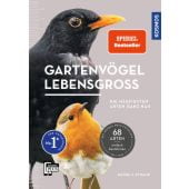 Gartenvögel lebensgroß, Strauß, Daniela, Franckh-Kosmos Verlags GmbH & Co. KG, EAN/ISBN-13: 9783440178614