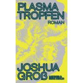 Plasmatropfen, Groß, Joshua, MSB Matthes & Seitz Berlin, EAN/ISBN-13: 9783751809818