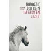 Im ersten Licht, Gstrein, Norbert, Carl Hanser Verlag GmbH & Co.KG, EAN/ISBN-13: 9783446282971