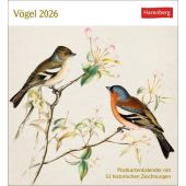 Vögel Postkartenkalender 2026 - Postkartenkalender mit 53 historischen Zeichnungen, Harenberg, EAN/ISBN-13: 9783840037924