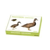 Wachsen, Kunstkartenbox, Willemsen, teNeues Media GmbH & Co. KG, EAN/ISBN-13: 4260416451261