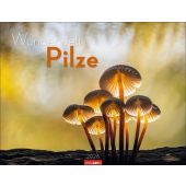 Wunderwelt der Pilze Kalender 2026, Weingarten, EAN/ISBN-13: 9783839903100