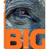 BIG, Dimitrijevic, Marko/Nachoum, Amos, teNeues Media GmbH & Co. KG, EAN/ISBN-13: 9783961713851