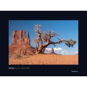 Alte Bäume, Sinnbilder des Lebens - KUNTH Wandkalender 2026, Kunth, Wolfgang Verlag GmbH & Co.KG, EAN/ISBN-13: 9783965914803