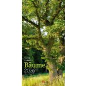 Bäume Kalender 2026, Ackermann Kunstverlag GmbH, Ackermann Kunstverlag GmbH, EAN/ISBN-13: 9783838426204