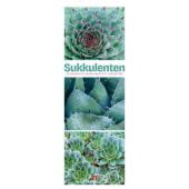 Sukkulenten Triplet-Kalender 2026, Ackermann Kunstverlag GmbH, Ackermann Kunstverlag GmbH, EAN/ISBN-13: 9783838436326