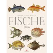 Fische Kalender 2026, Bertuch, Friedrich Justin/Ackermann Kunstverlag GmbH, EAN/ISBN-13: 9783838426181
