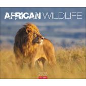 African Wildlife Kalender 2026, Weingarten, EAN/ISBN-13: 9783839902561