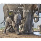 Hautnah - Afrikas Wildnis 2026 - Bild-Kalender - Poster-Kalender - 60x50, Palazzi Kalender GmbH, EAN/ISBN-13: 4069095003958