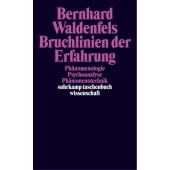 Bruchlinien der Erfahrung, Waldenfels, Bernhard, Suhrkamp, EAN/ISBN-13: 9783518291900